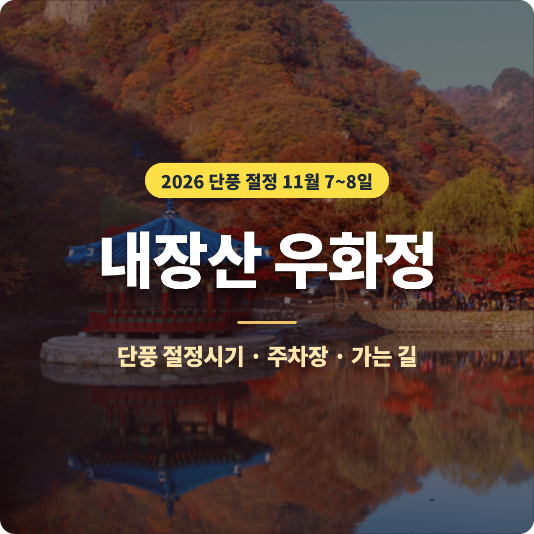내장산 우화정 이미지