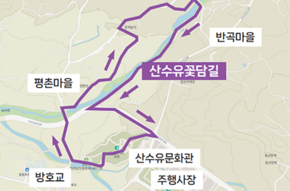 구례 산수유 꽃축제 안내.개막식,주차장,셔틀정보