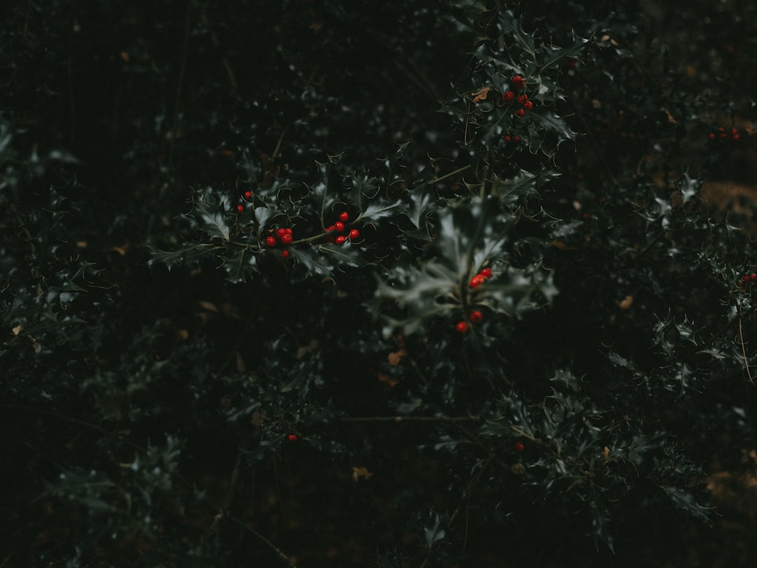 Synthesis