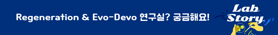 재생 및 진화발생(Evo-Devo)연구실