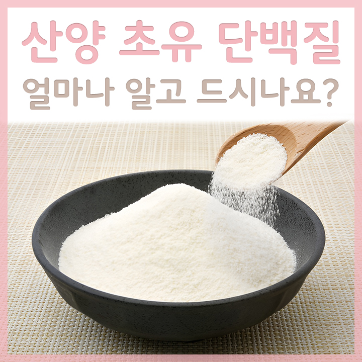 그릇에-담간-산양초유단백질