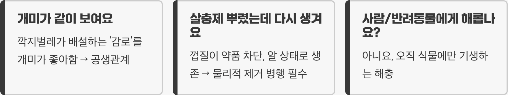 깍지벌레 완벽 종합 가이드 – 특징, 피해, 퇴치, 예방 총정리