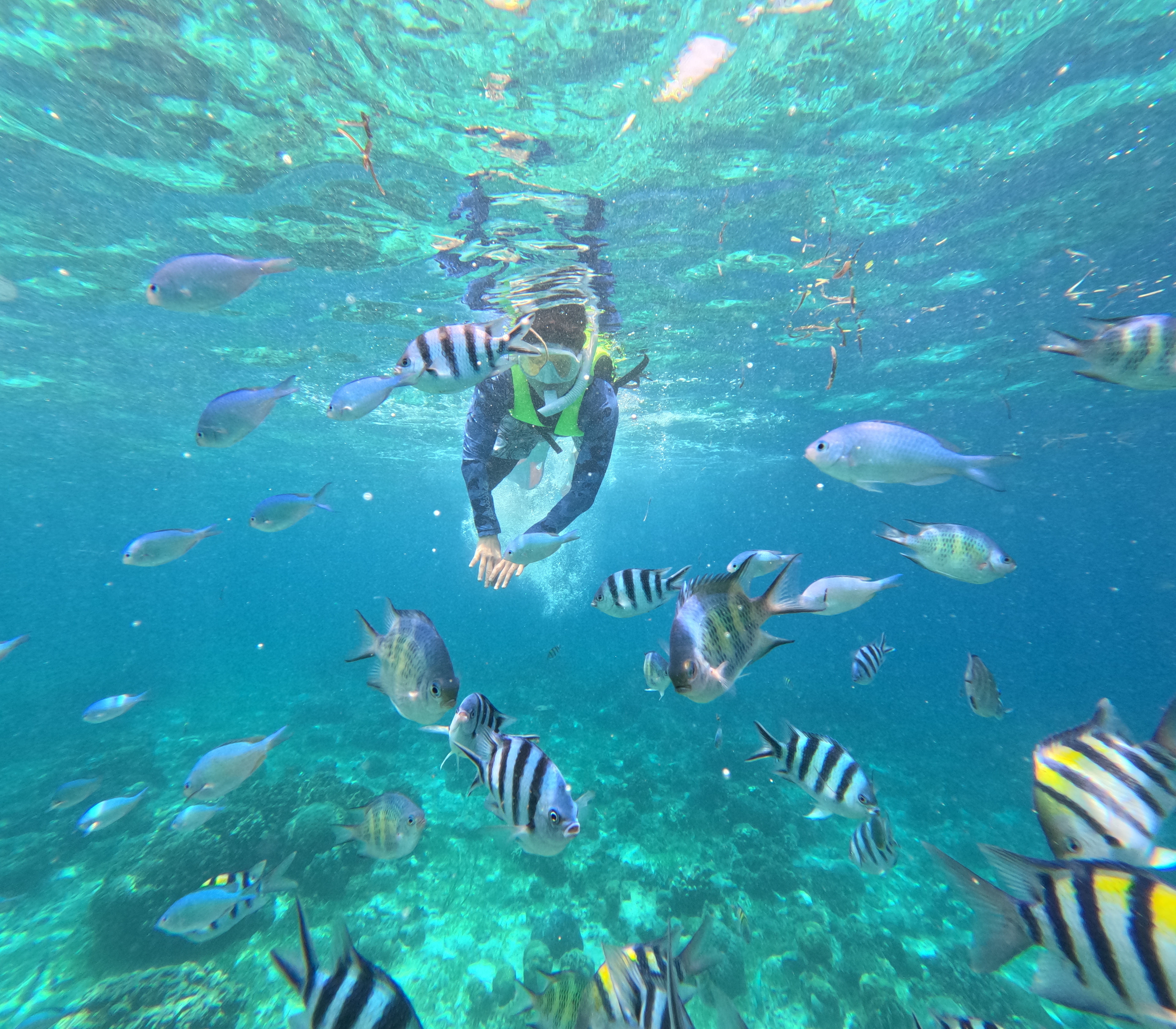 대가족 필리핀 여행 숙소, 풀빌라 저렴하게 예약하기