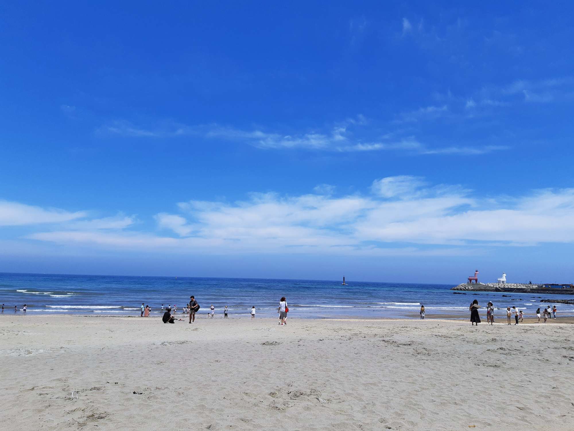 제주 이호테우해변