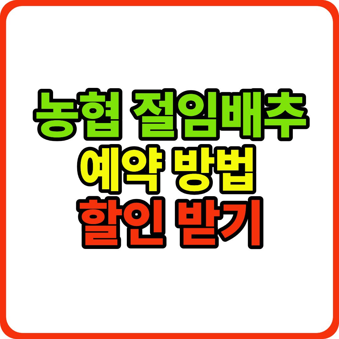 농협 절임배추 이미지