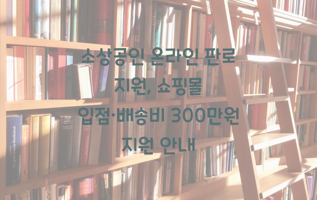 소상공인 온라인 판로 지원, 쇼핑몰 입점·배송비 최대 300만원 지원