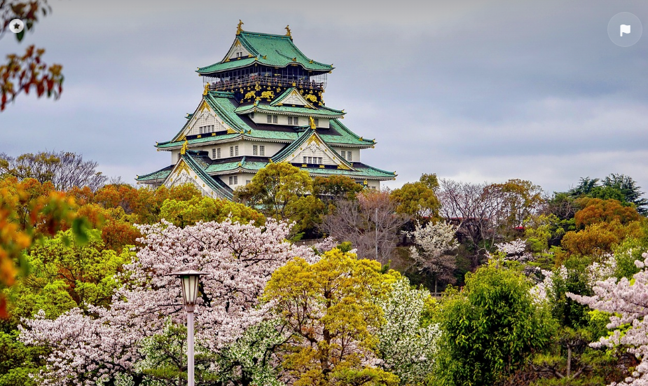 오사카벚꽃개화시기