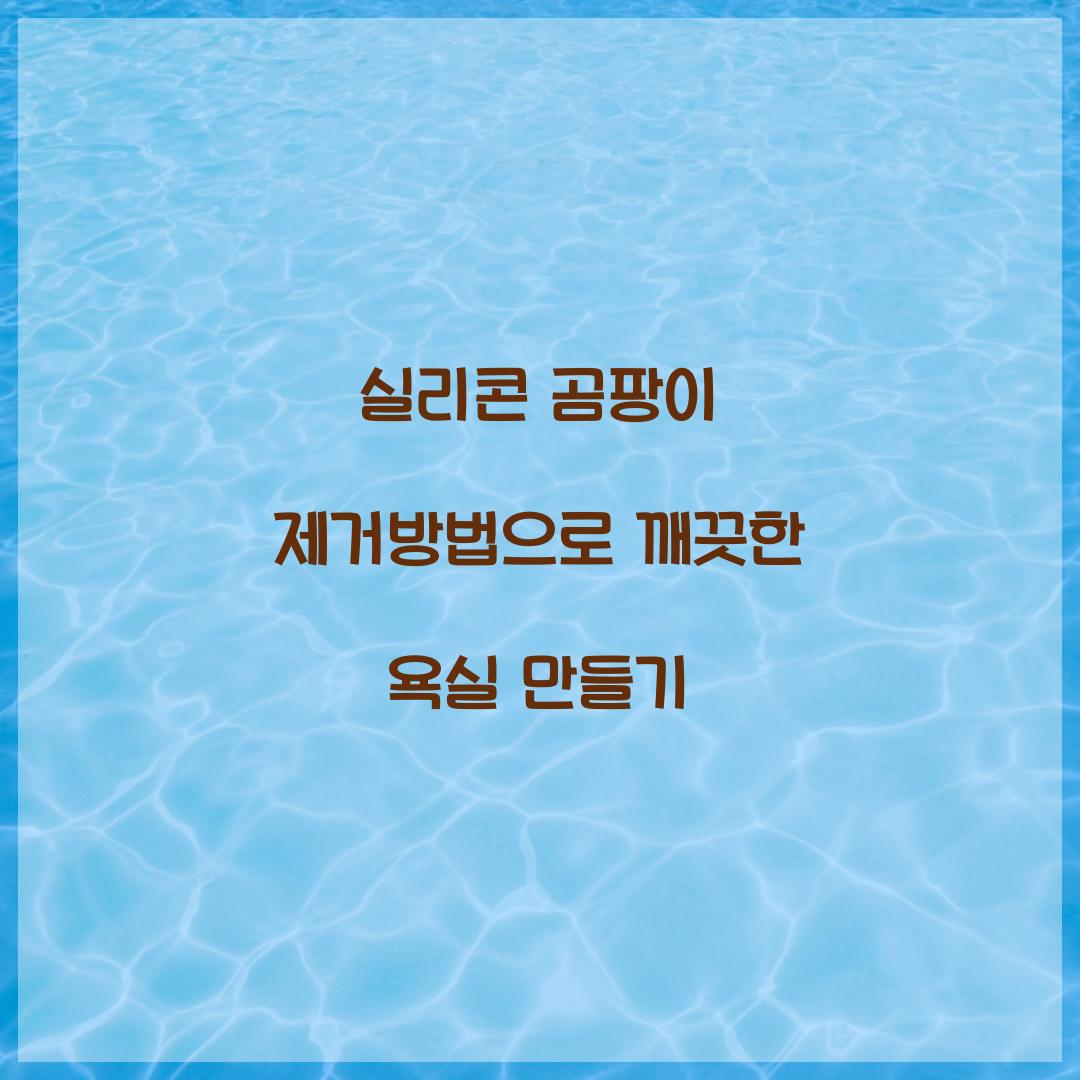 실리콘 곰팡이 제거방법