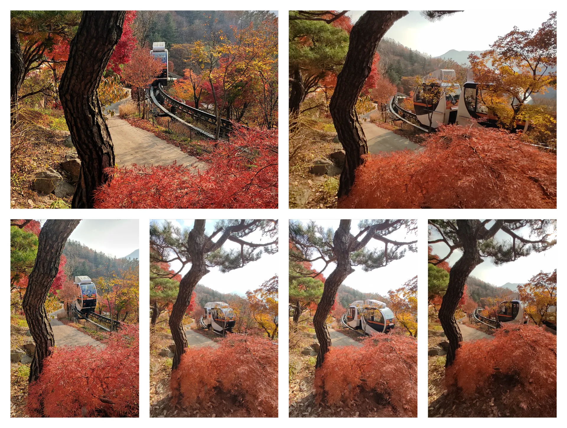 가을 화담숲