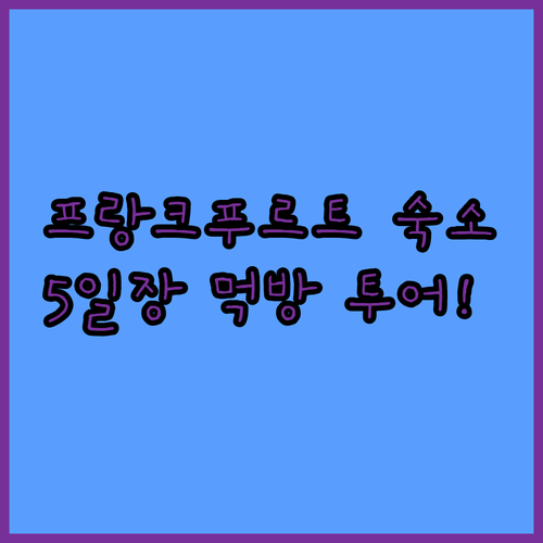 독일 프랑크푸르트 호텔 예약 가이드 ..