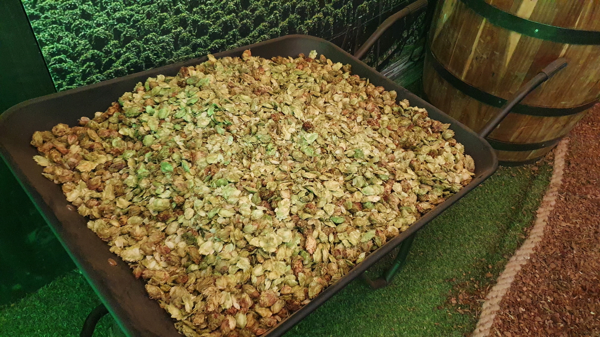 구스아일랜드-22