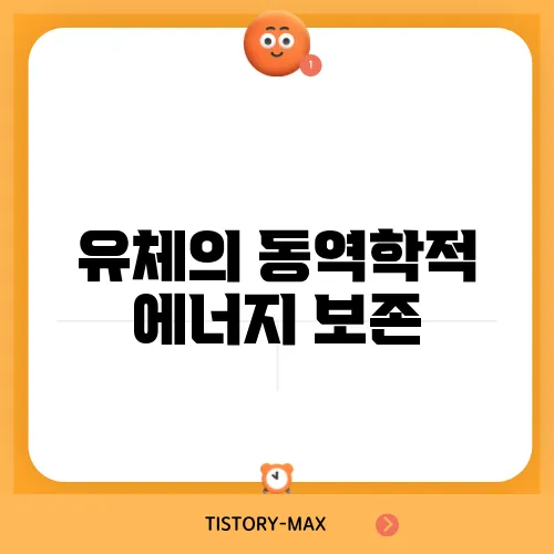 유체의 동역학적 에너지 보존