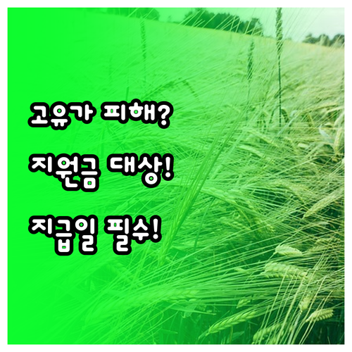 2026년 고유가 피해 지원금 대상과..