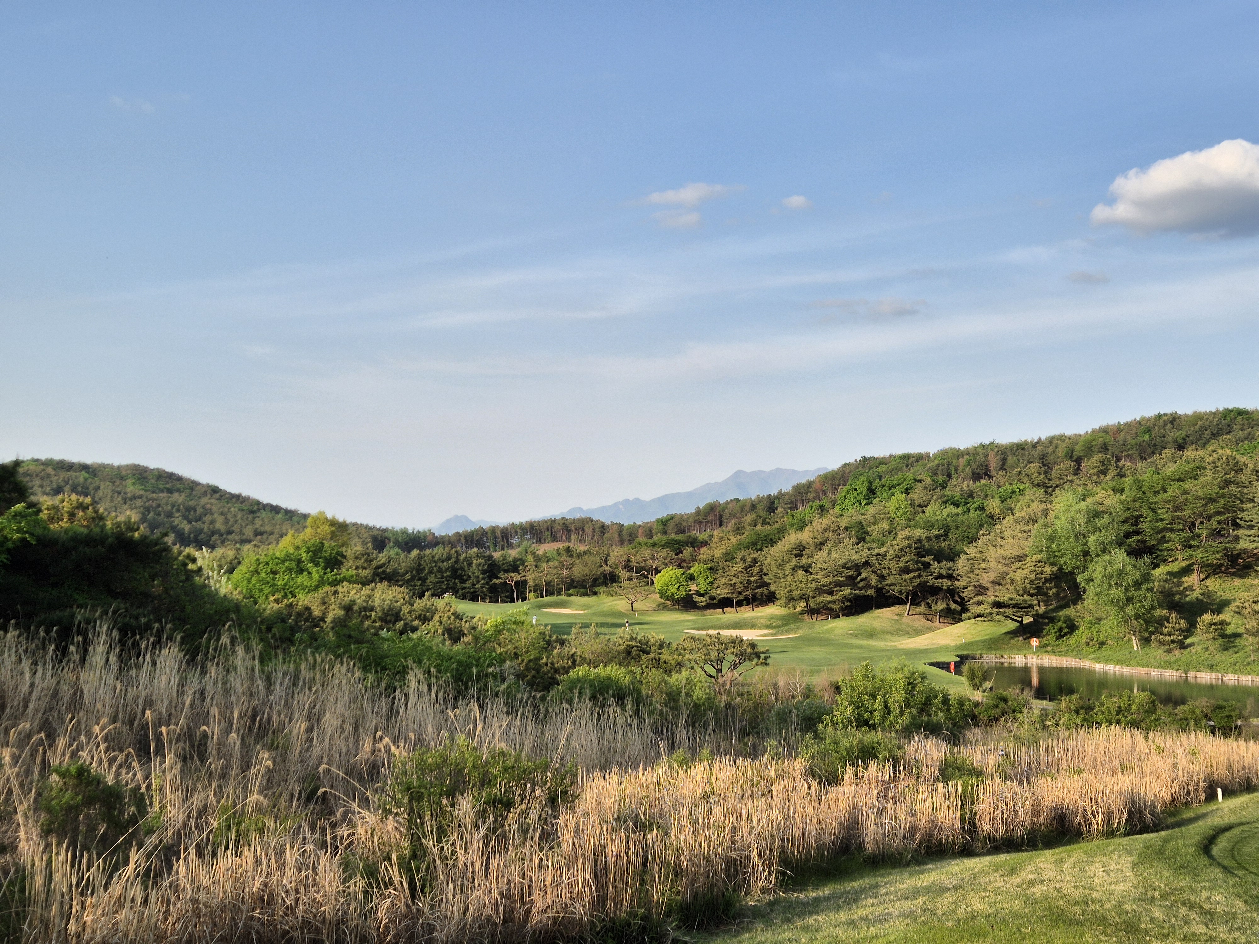 베어크리크cc 크리크코스