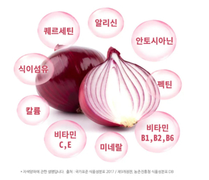자색 양파즙
