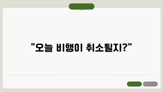 공항 결항정보