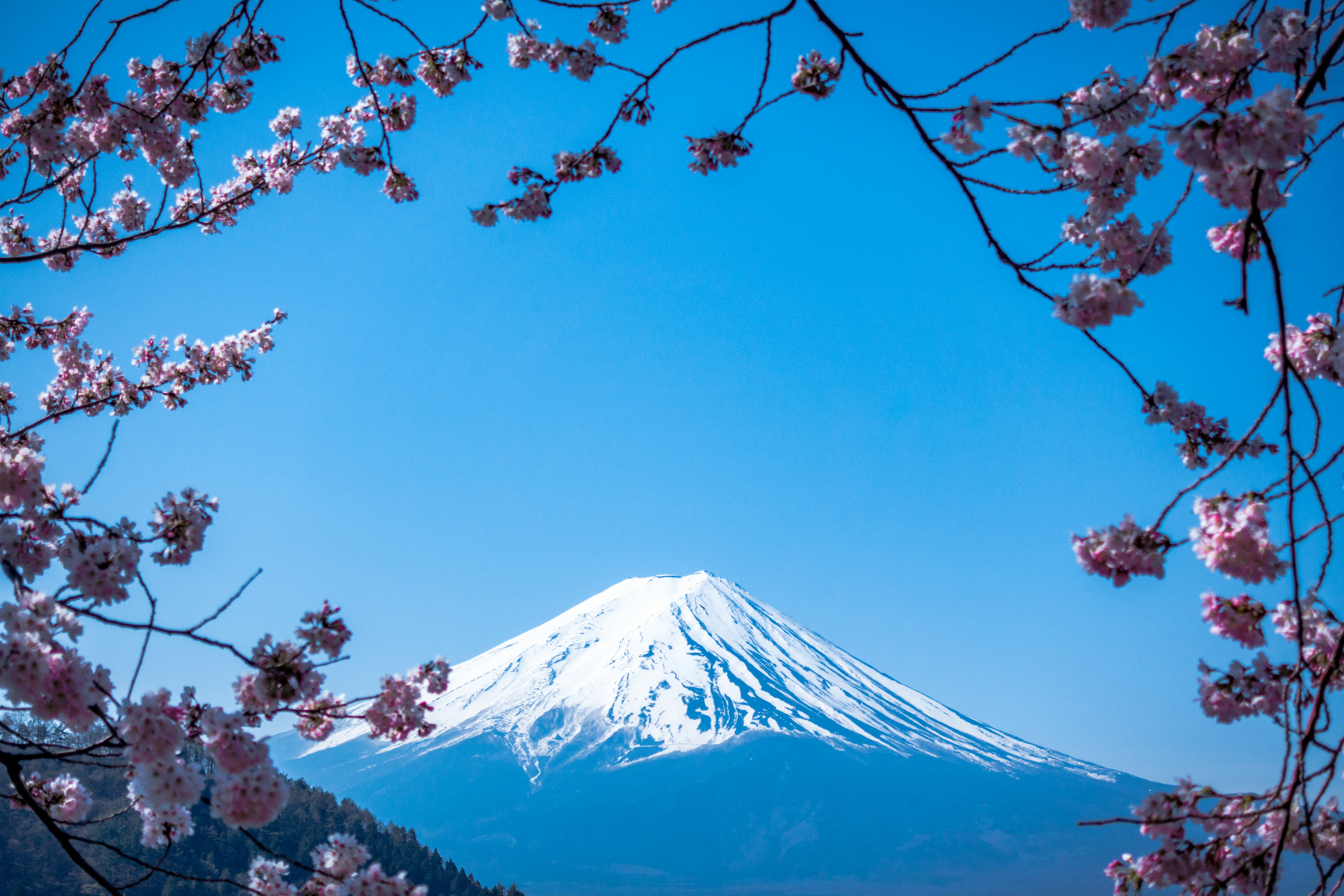 일본