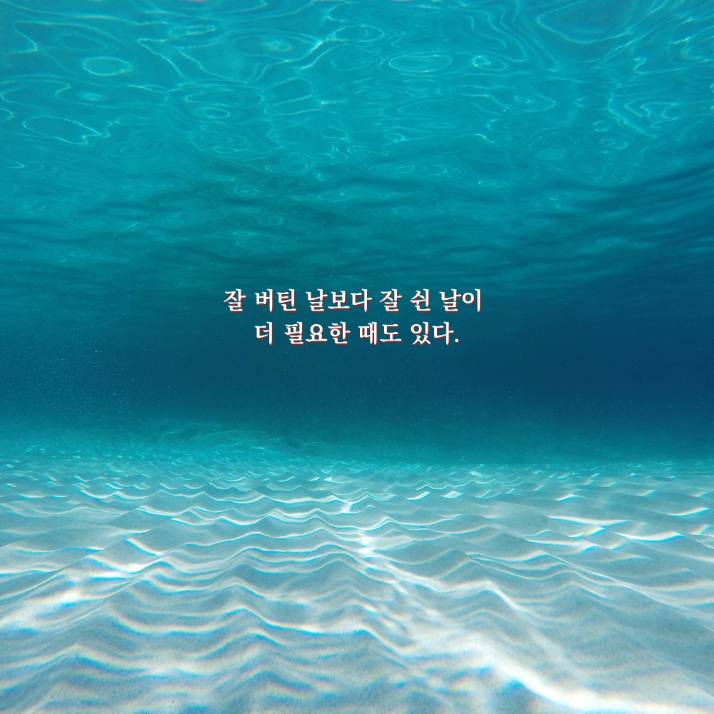 잘 버틴 날보다 잘 쉬어낸 날이 더 필요한 때도 있다. - 감성 글귀 이미지