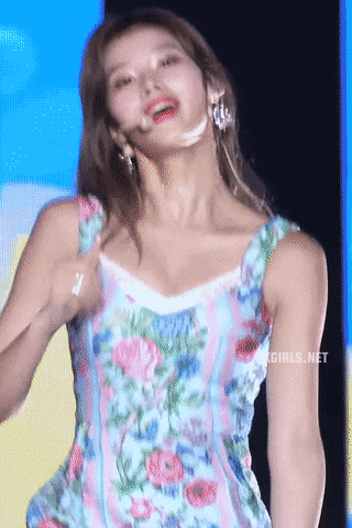 사나 나이 트와이스 실물 프로필 키 인스타 화보 다이어트 고화질 과거 배경화면 다리 레전드