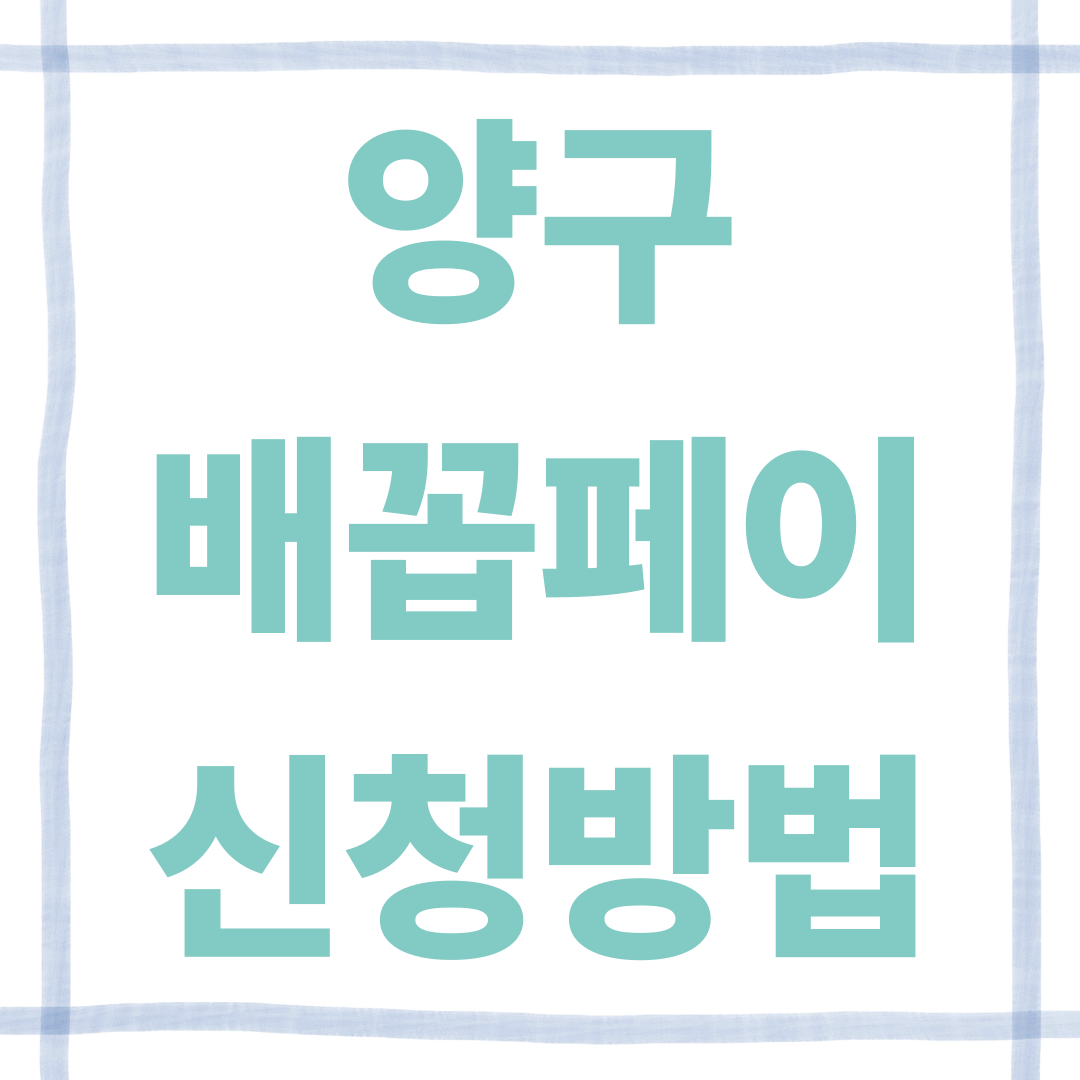 2026 양구 배꼽페이 신청·사용처 총정리