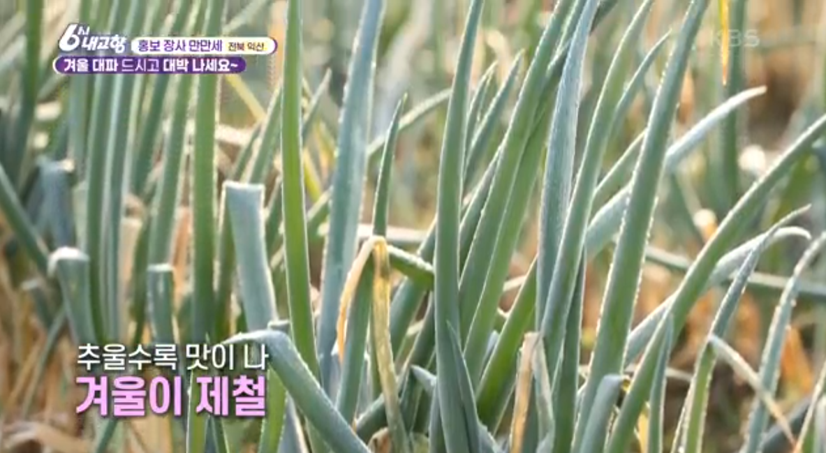 6시내고향 k맛집