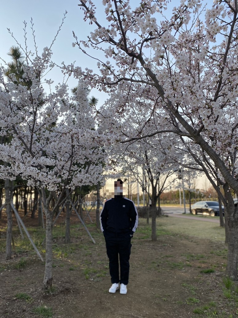 데일리룩(오뭘입)_ 아디다스 파이어버드 트랙탑, 무신사스탠다드 카고바지 블랙, 어커버 반팔, 오니즈타이거 멕시코, 남자코디, 남자스타일링, 벚꽃, 데일리패션, 데일리코디, ootd