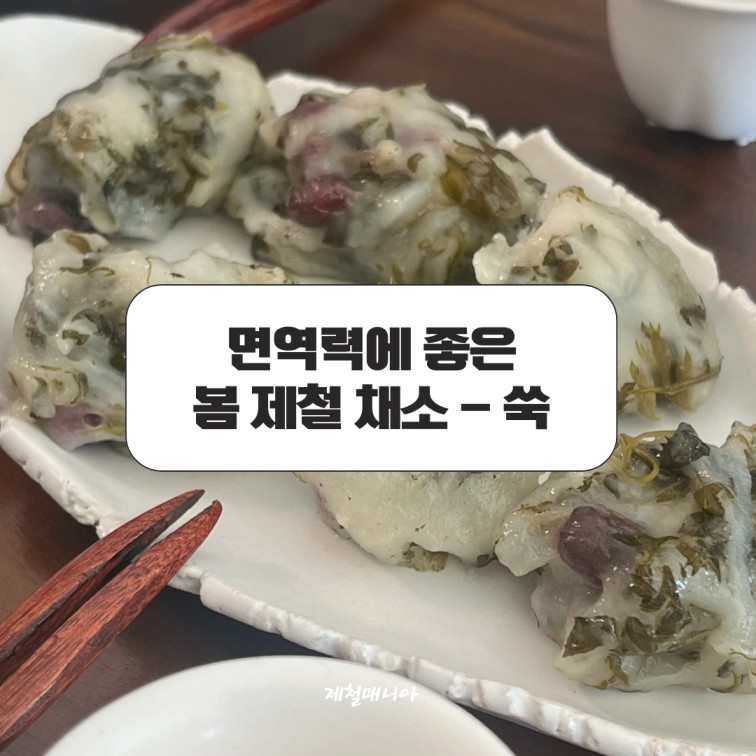 쑥의 효능