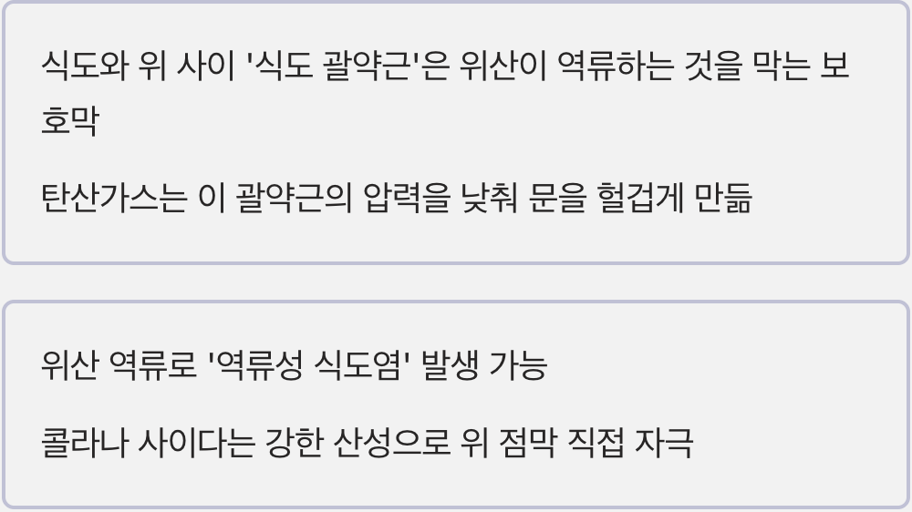 위장의 보호막을 약하게 만드는 산성 공격