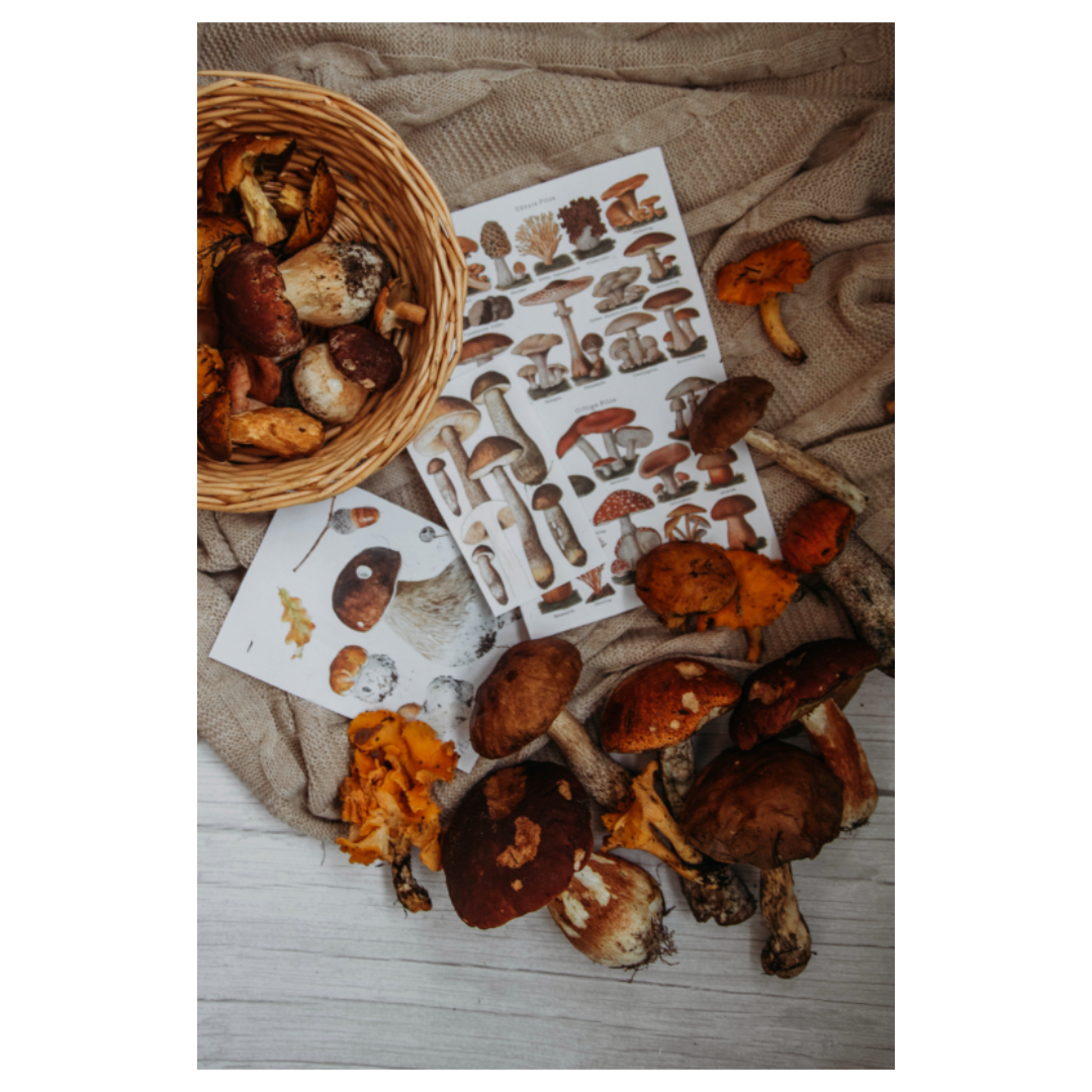 여주와 관련된 사진입니다.