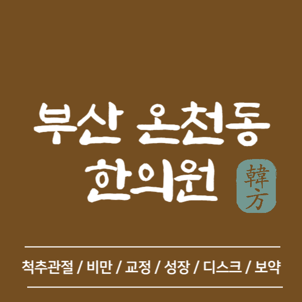 부산 동래구 온천동 한의원 추천 TOP5 양심 한의원 유명한 곳