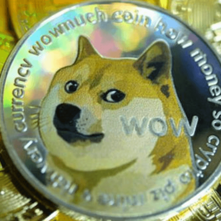 시바견이 그려져있는 도지코인