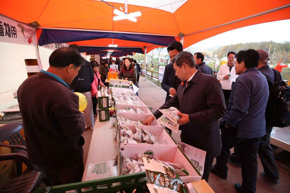 11월 지역 축제 강원 세종 대전 가을 축제