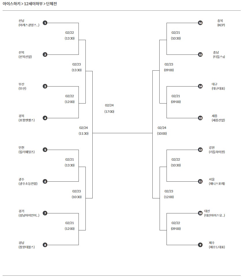 제105회 전국동계체육대회 아이스하키