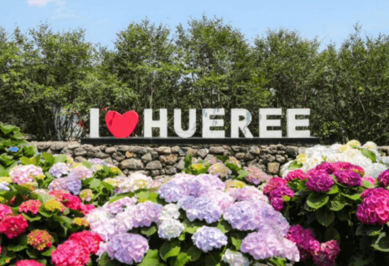 제주도 휴애리 6월 수국축제