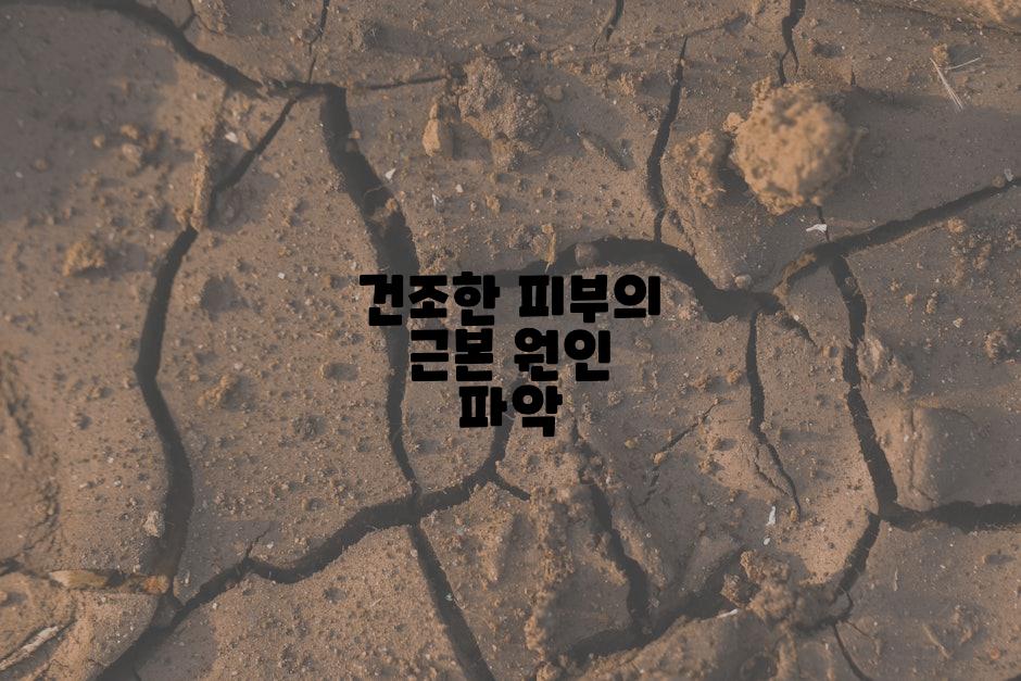 건조한 피부의 근본 원인 파악