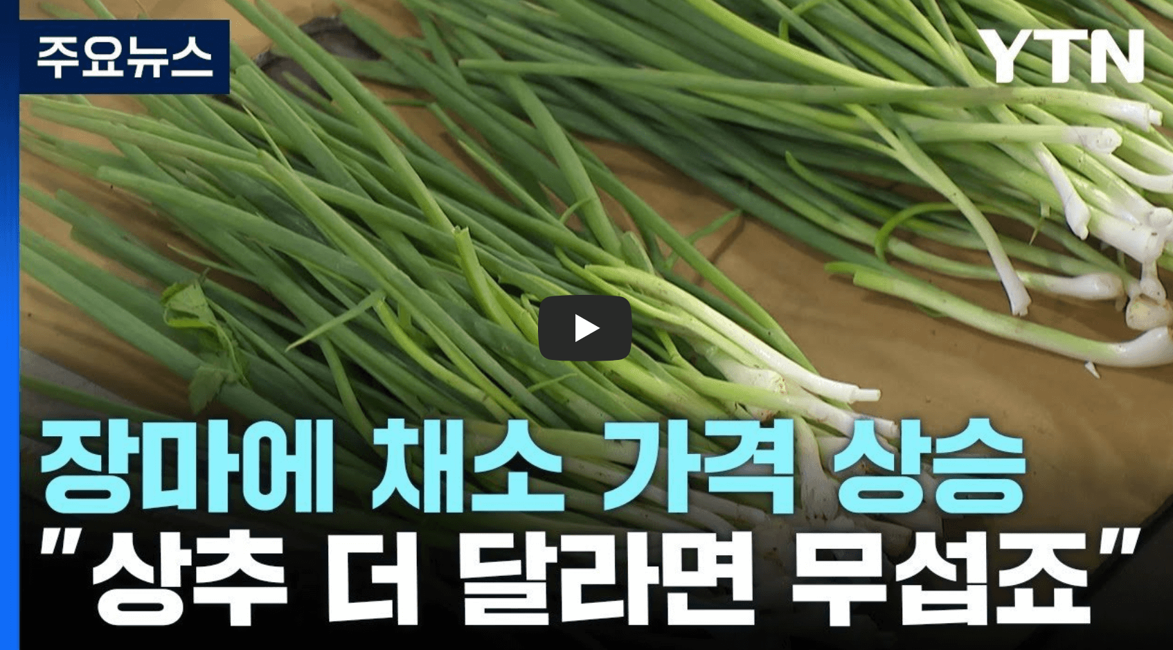 채소 가격 상승 섬네일