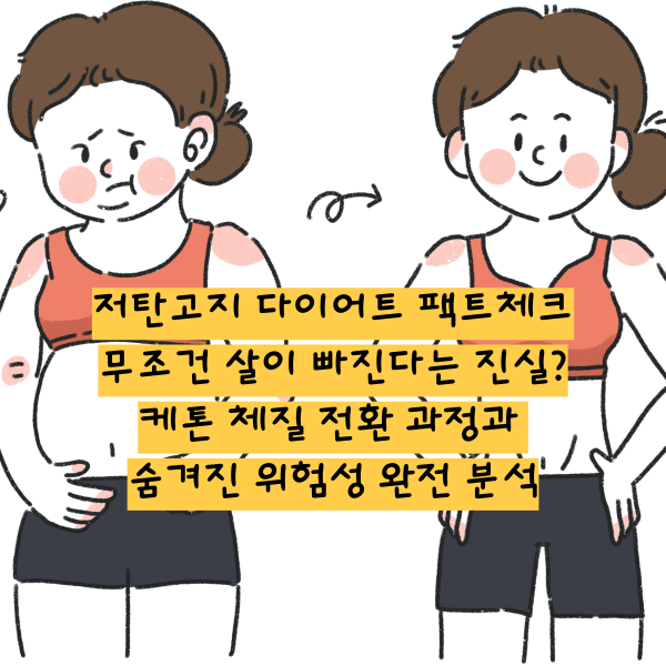 저탄고지 다이어트 팩트체크 무조건 살이 빠진다는 진실 케톤 체질 전환 과정과 숨겨진 위험성 완전 분석