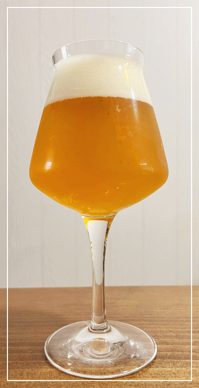 스틴 브뤼헤 트리펠 벨기에 맥주