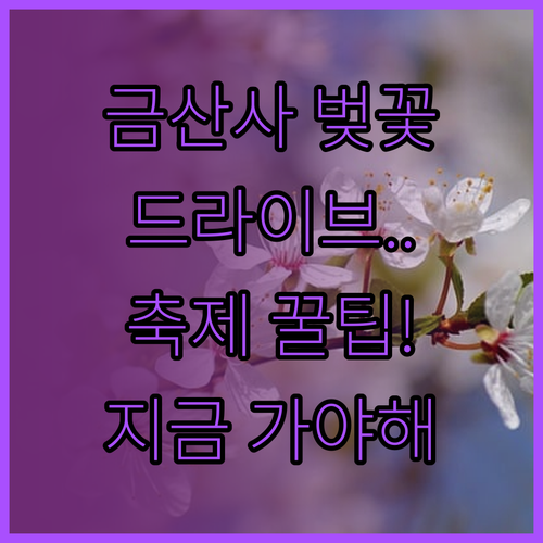 김제 금산사 벚꽃길 드라이브와 축제 ..