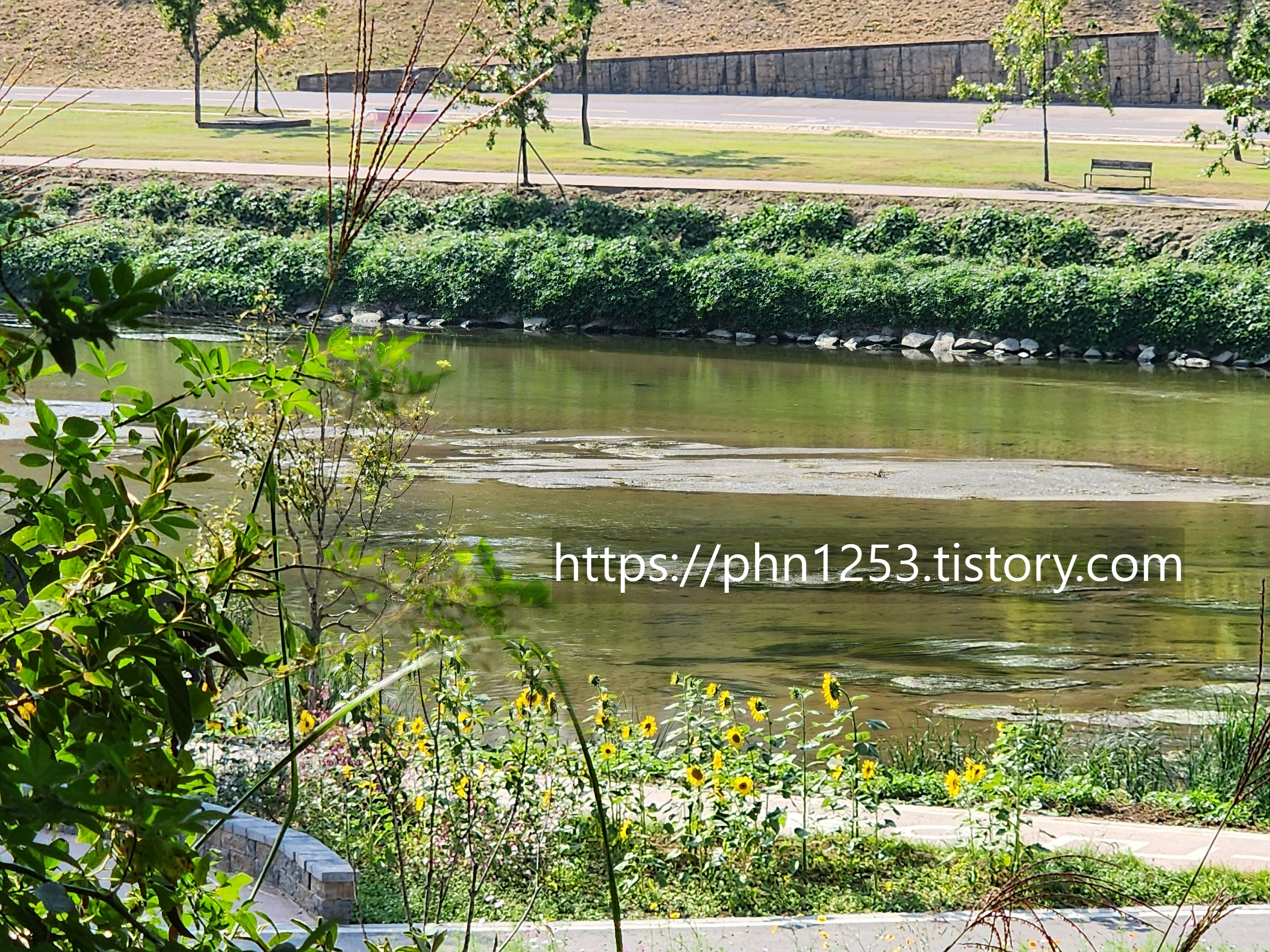 Alt 속성 문제 해결 설명 이미지