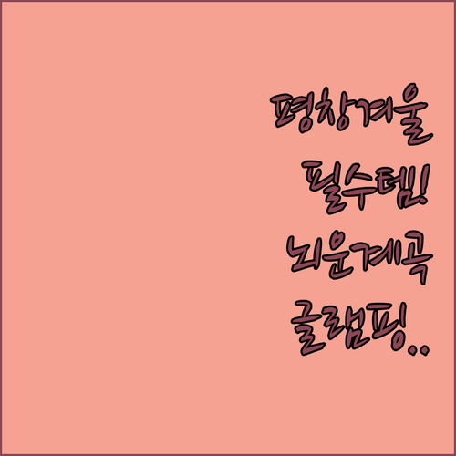 겨울 평창 여행 필수 아이템 구매 팁..