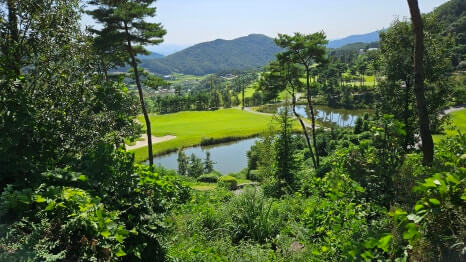 골프장 경험담 충주 세일cc 샷의 정교함이 필요한 골프장 