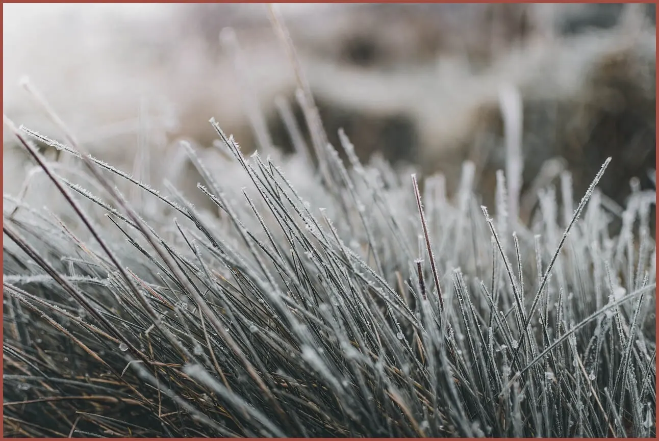 정기예금 이율높은곳