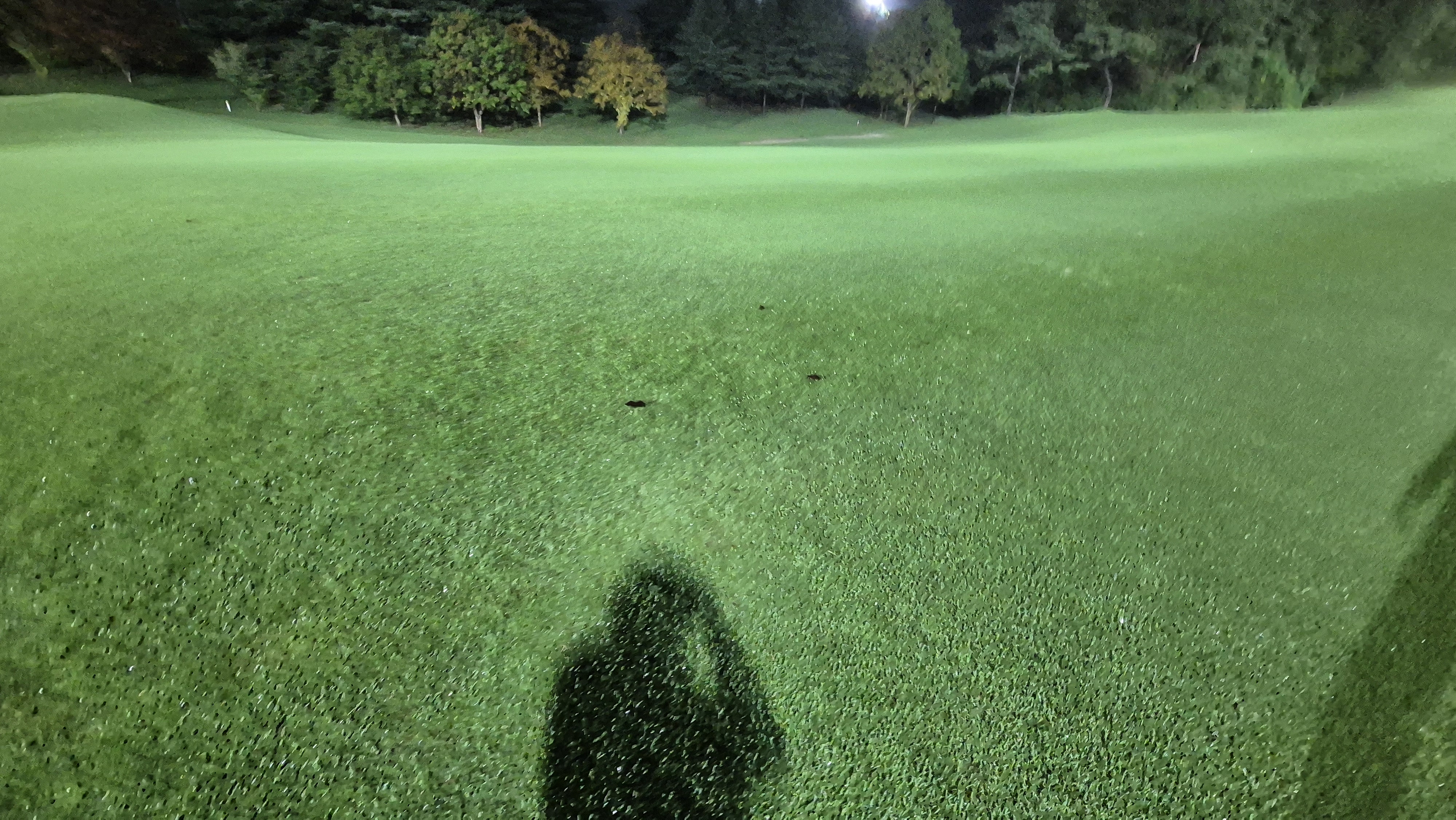 블루원용인cc 코스 관리 상태