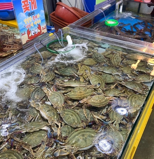 화성-궁평항-꽃게-진주네-정점옥