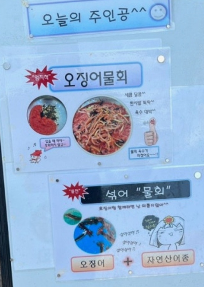 백반기행-정태우의-영덕밥상-물회-축산항횟집