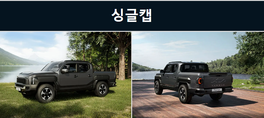 싱글캡