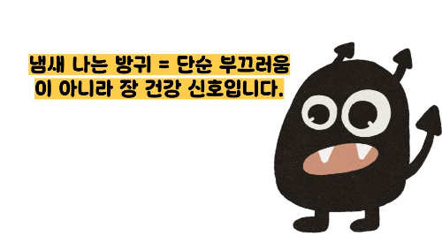 방귀 냄새가 심한 이유