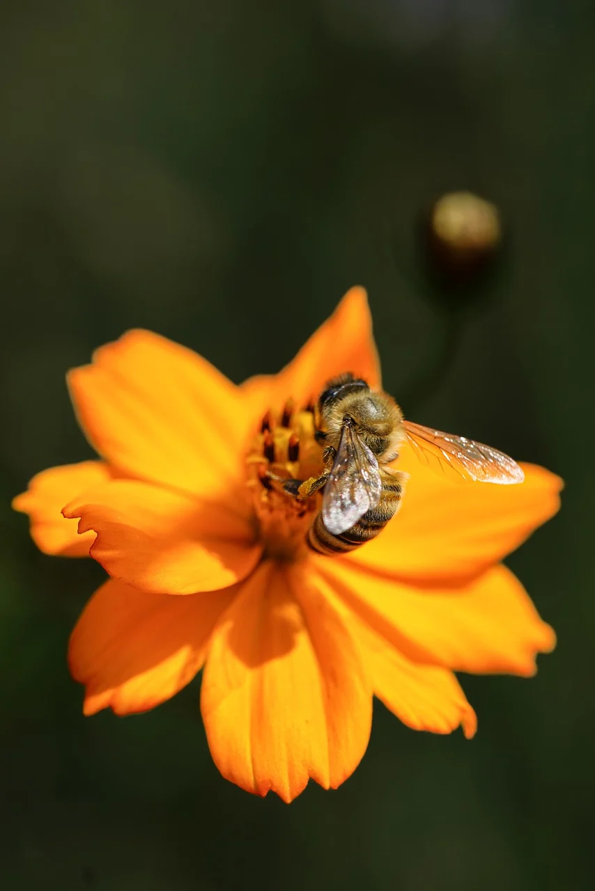 송파구 9시 이후 늦게까지 운영하는 맛집 Best4