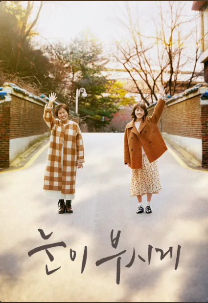 눈이 부시게 드라마 포스터